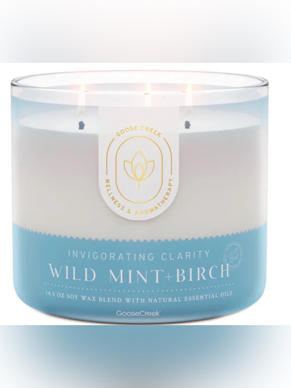 Goose Creek Wild Mint + Birch 3-Wick Scented Candle - 14.5 oz Aromatherapy
